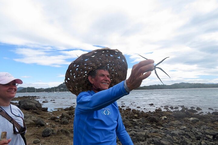 Kayak and Snorkelling trip to Capitan Island; part of Las Baulas National Park - Photo 1 of 16